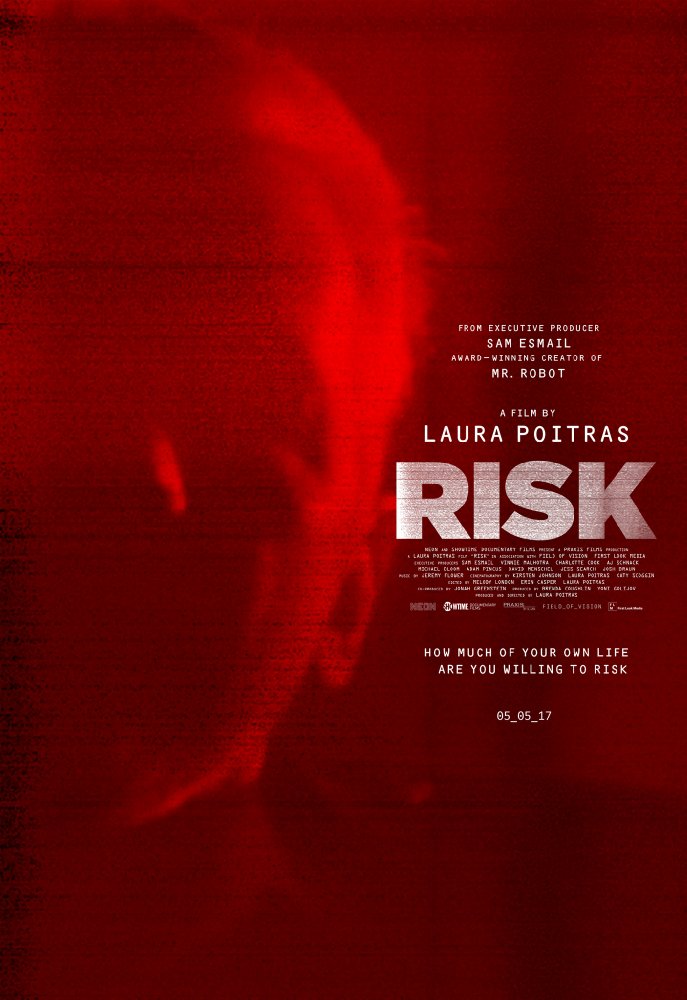 Risk 2016 720P Web-Dl 700Mb Mkvcage