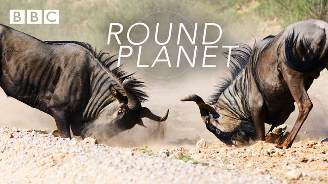 Round Planet S01E01 Artic 720P Nf Web-Dl X264-Pahe In