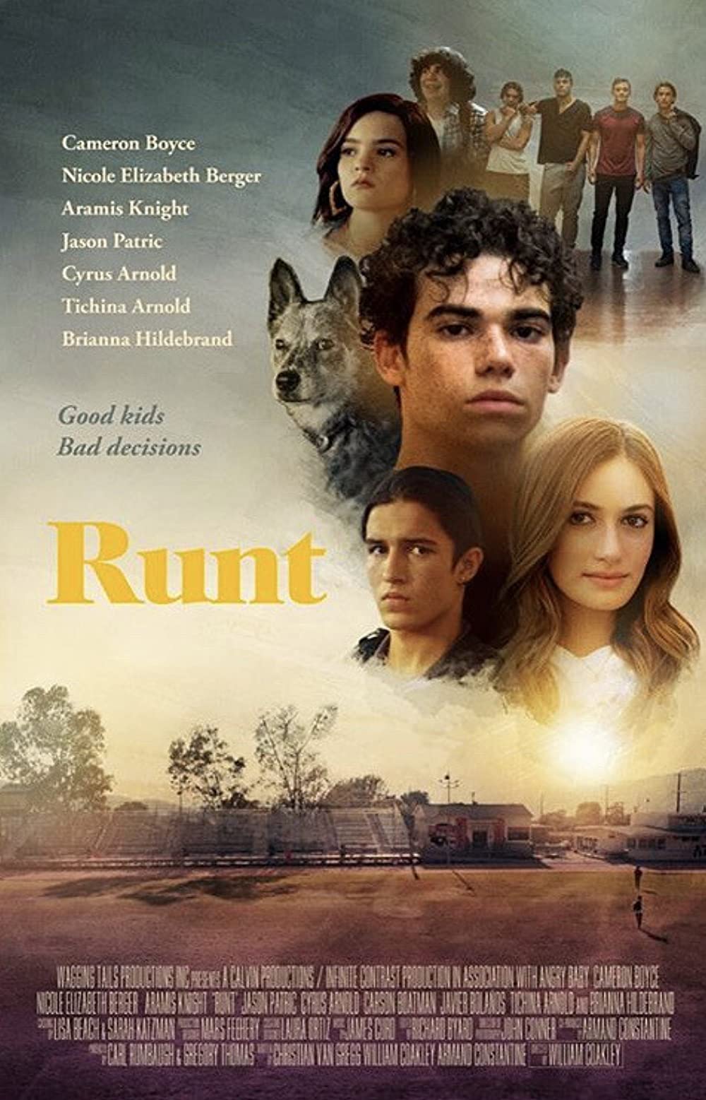 Runt 2020 720P Webrip 800Mb X264-Galaxyrg