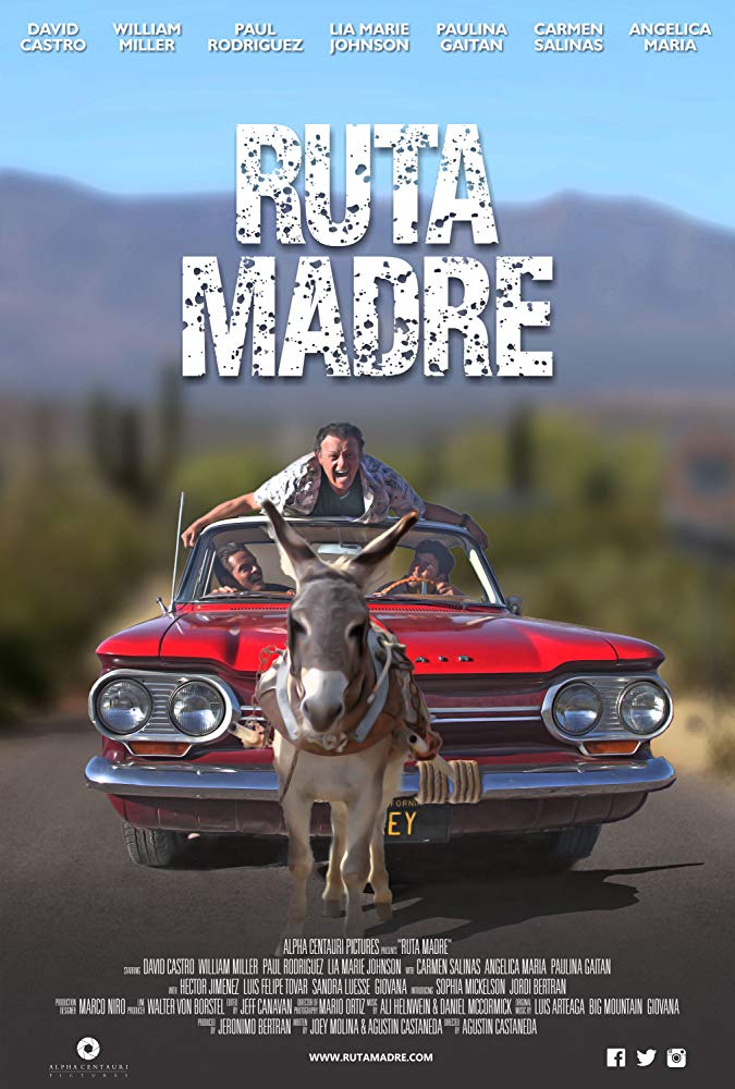 Ruta Madre 2019 720P Webrip 800Mb X264-Galaxyrg