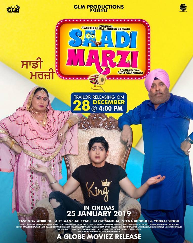Saadi Marzi (2019) Punjabi 720P Hdrip X264 Aac Esub - Downloadhub