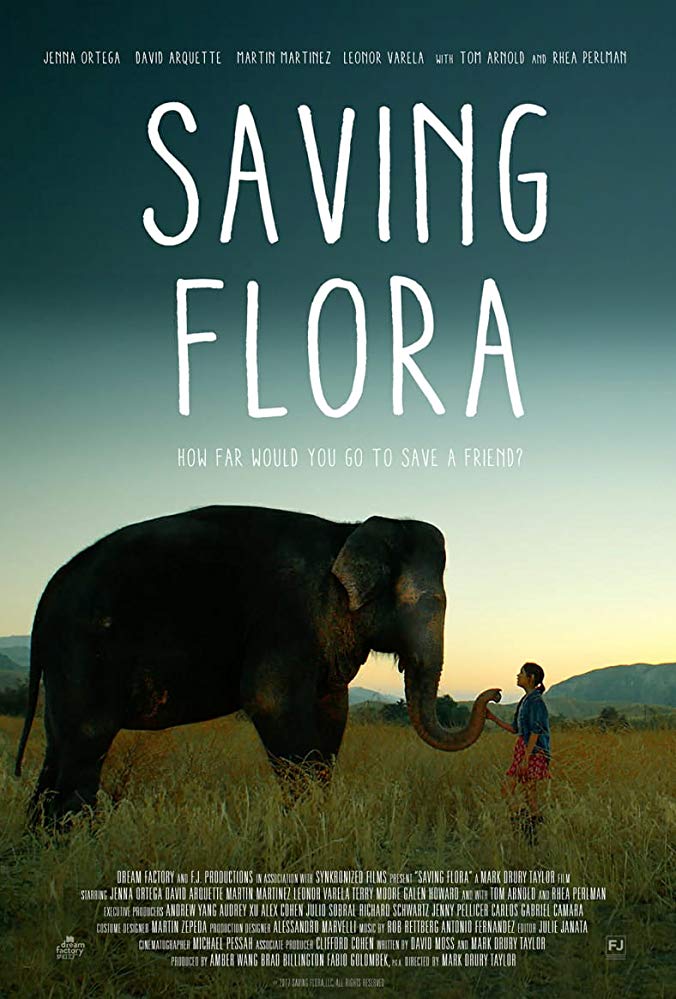 Saving Flora 2018 720P Webrip 800Mb X264-Galaxyrg