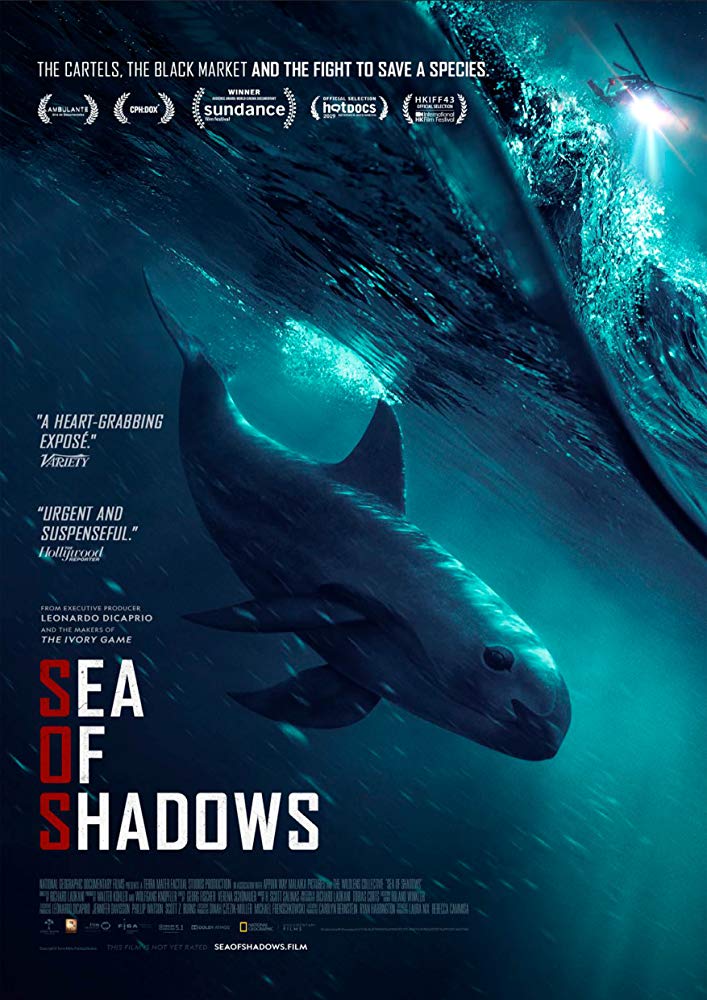 Sea Of Shadows 2019 720P Hulu Webrip 800Mb X264-Galaxyrg