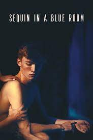 Sequin In A Blue Room 2019 720P Webrip 800Mb X264-Galaxyrg
