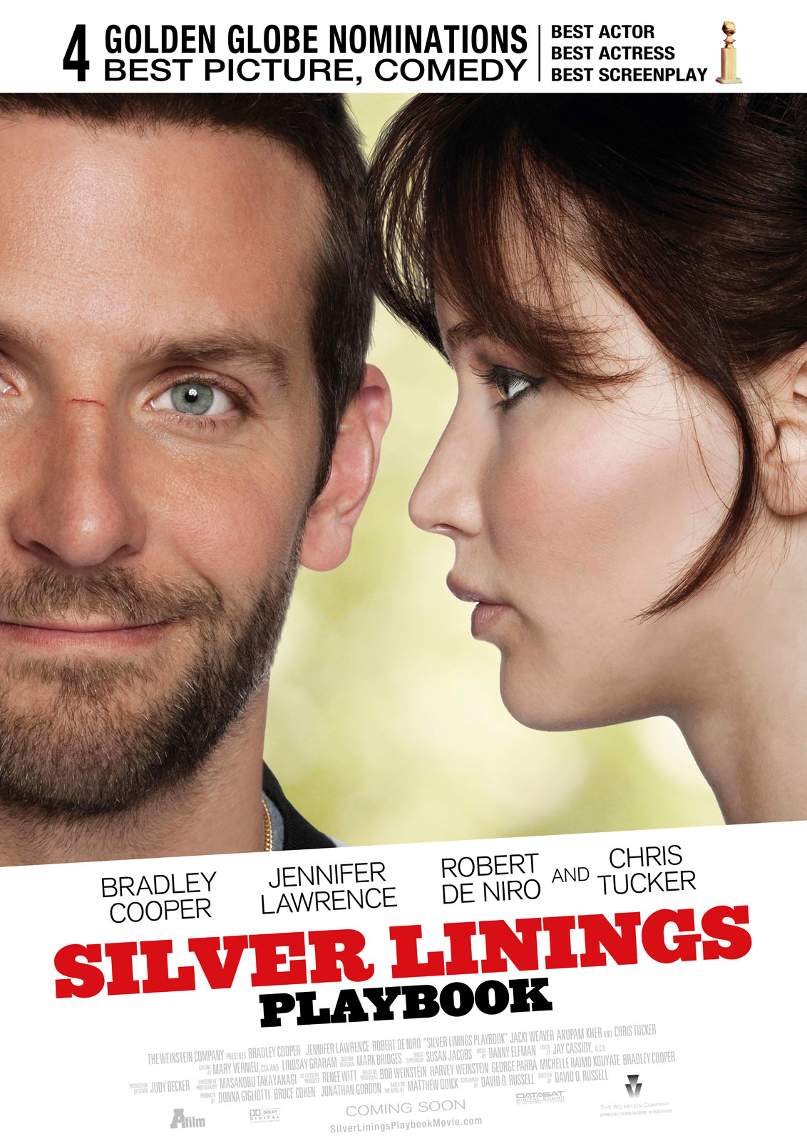 Silver Linings Playbook 2012 720P X264 Yify