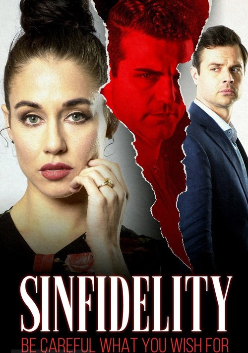 Sinfidelity 2020 720P Hdtv 800Mb X264-Galaxyrg