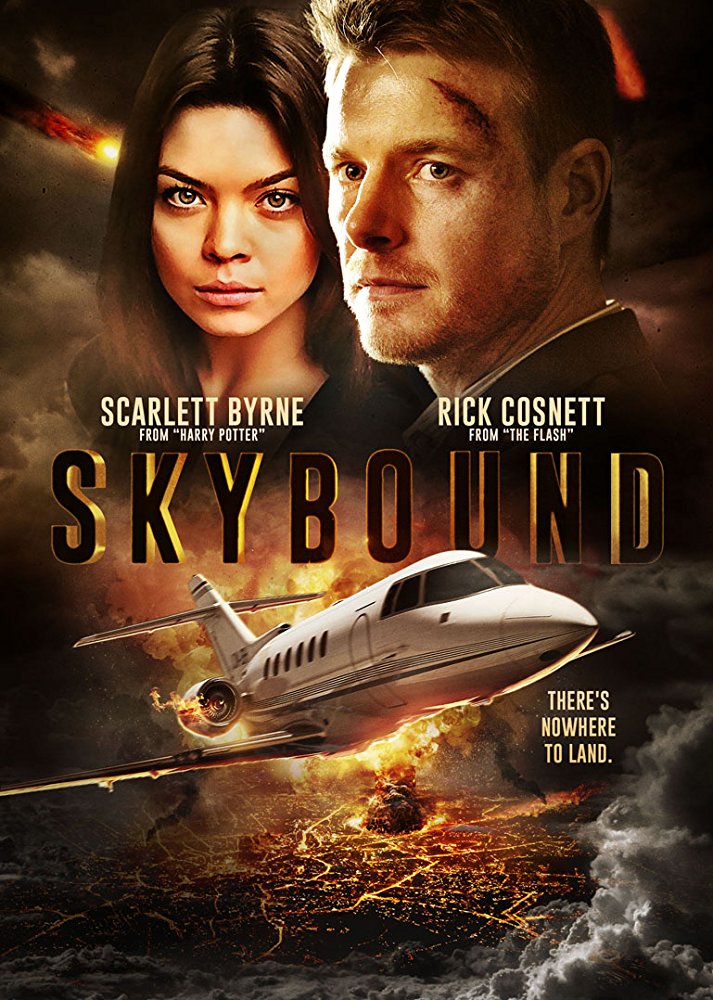Skybound (2017) 720P Bluray X264 Esub [Dual Audio][Hindi 2 0 English 5 1] - Mkvc