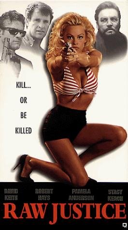 Soli Contro Il Crimine (Raw Justice) 1994 [Ita Eng]
