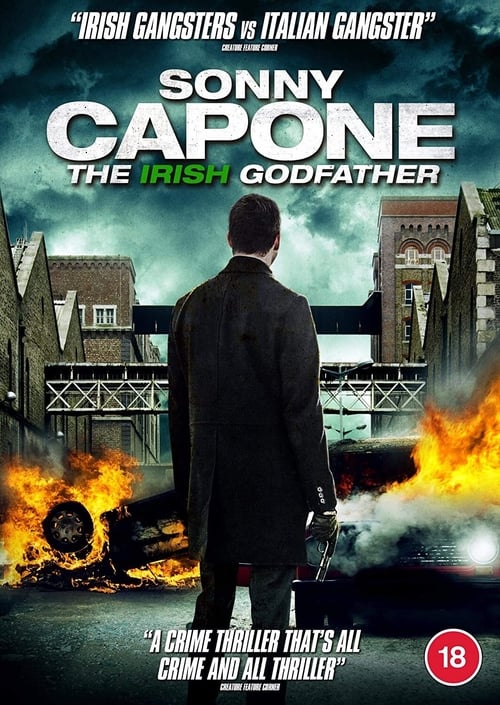 Sonny Capone 2020 720P Webrip 800Mb X264-Galaxyrg
