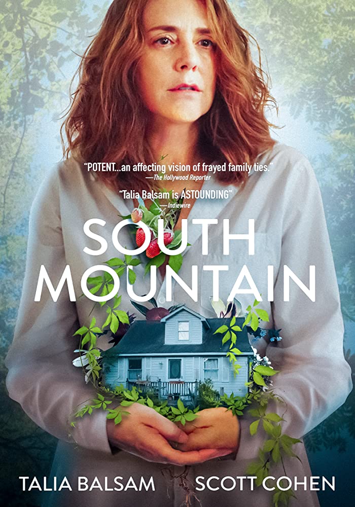 South Mountain 2019 720P Webrip 800Mb X264-Galaxyrg