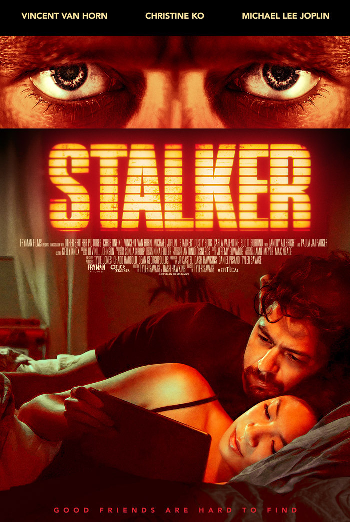 Stalker 2020 720P Webrip 800Mb X264-Galaxyrg