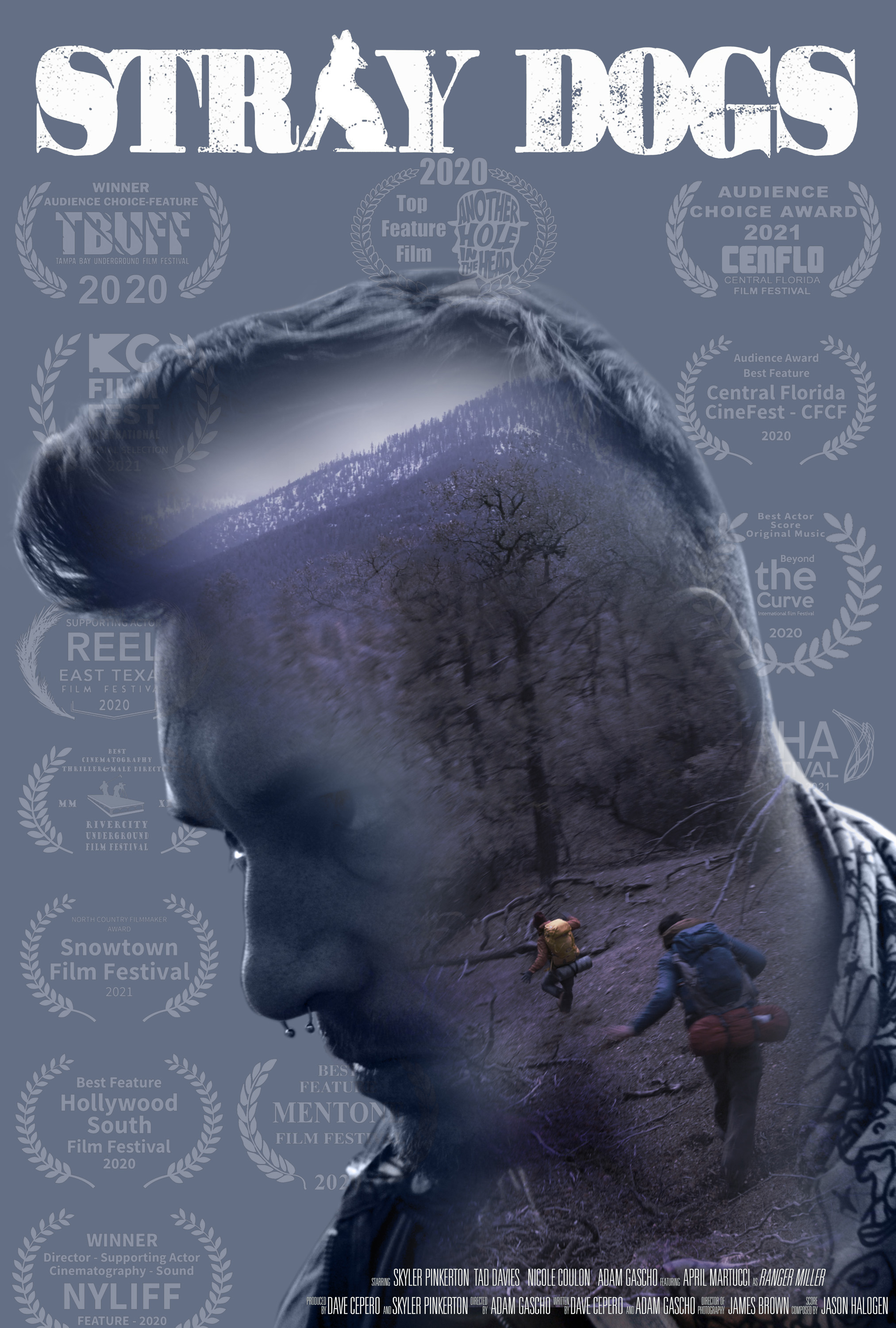 Stray Dogs 2020 720P Webrip 800Mb X264-Galaxyrg