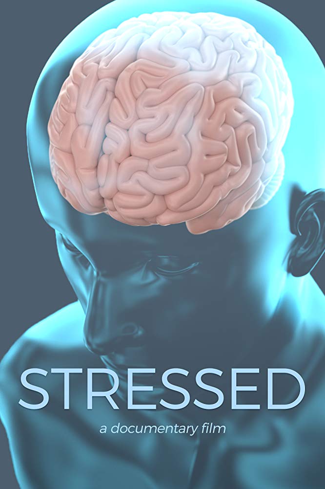 Stressed 2019 720P Amzn Webrip 800Mb X264-Galaxyrg