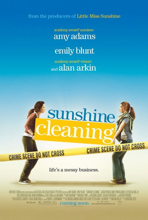 Sunshine Cleaning (2008) 1080P Bluray X265 Hevc 10Bit Aac 5 1 Esub-Afm72