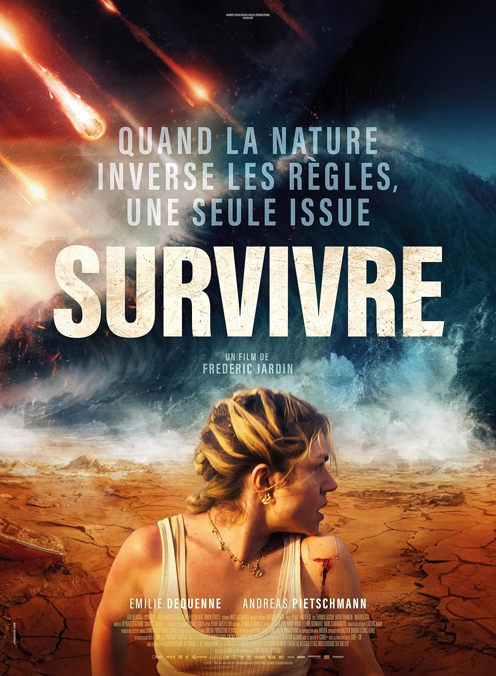 Survive (2024) 720P Bluray X264 Esub [Multi Audio][Hindi 2 0 English 5 1 French 5 1] -Msmod