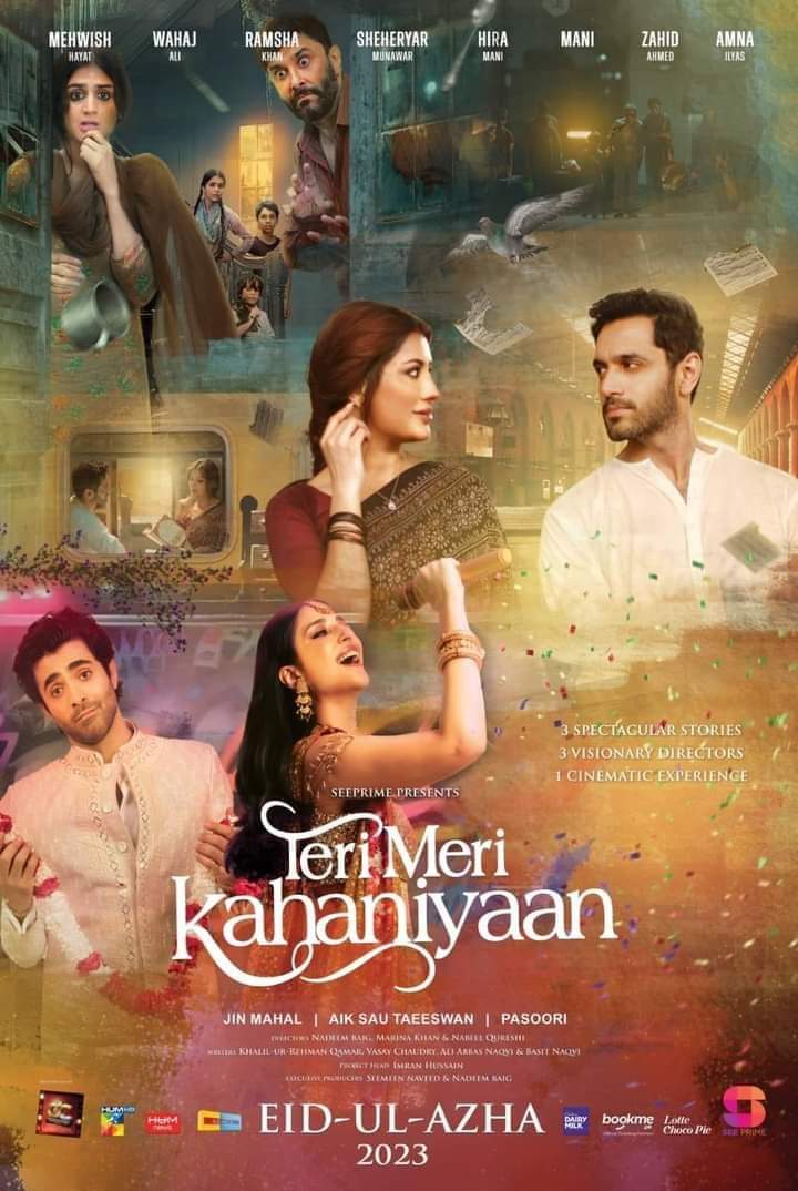 Teri Meri Kahaniyaan (2023) Urdu 720P Webrip X264 Aac - Downloadhub