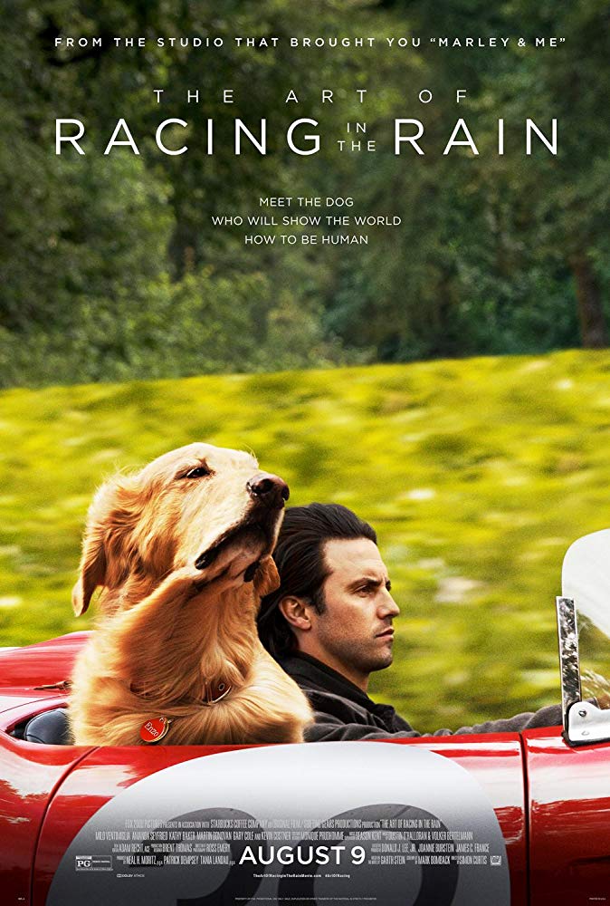 The Art Of Racing In The Rain 2019 1080P Bluray 1400Mb Dd5 1 X264-Galaxyrg