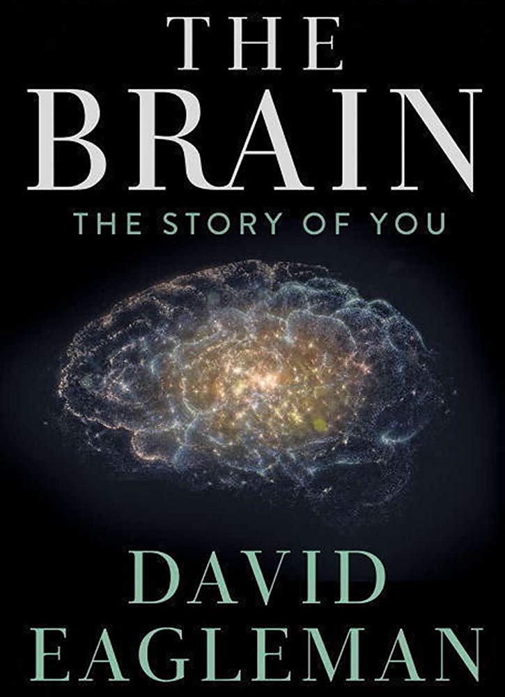 The Brain With David Eagleman S01E01 What Is Reality 720P Web-Hd X264-Pahe In