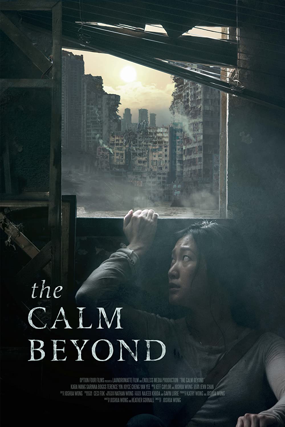 The Calm Beyond 2020 720P Webrip 800Mb X264-Galaxyrg