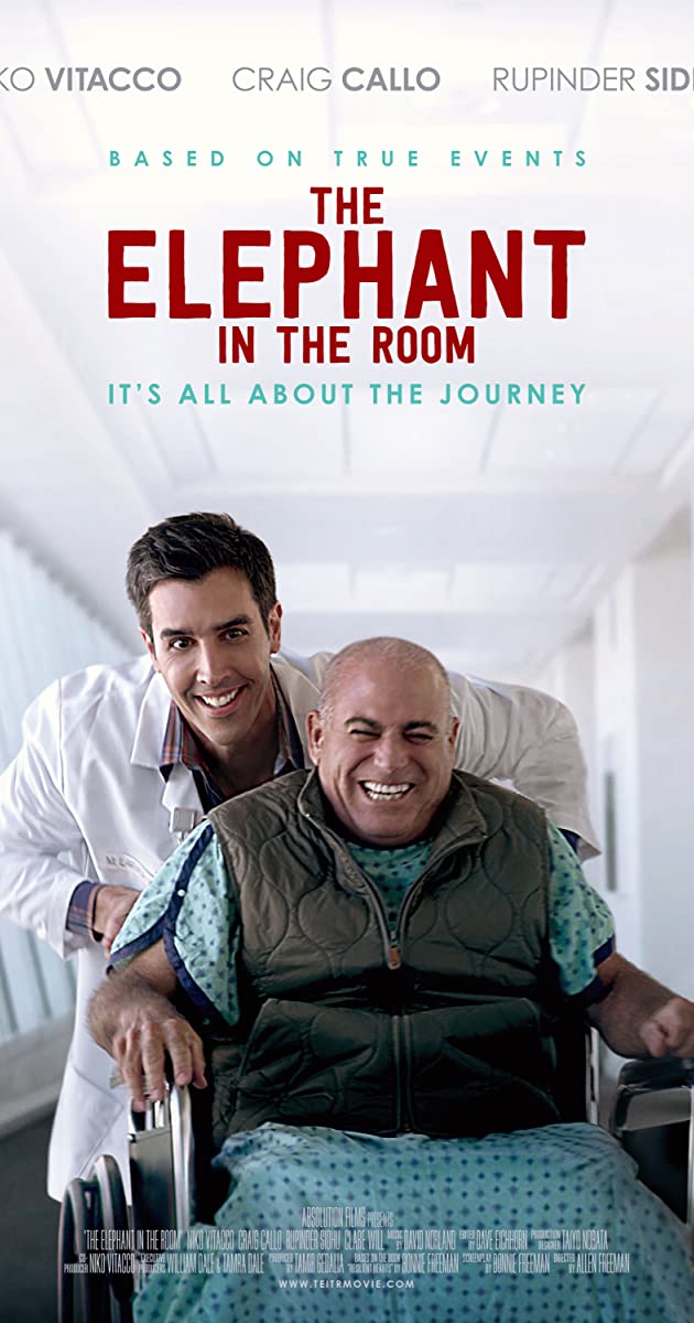 The Elephant In The Room 2020 720P Webrip 800Mb X264-Galaxyrg