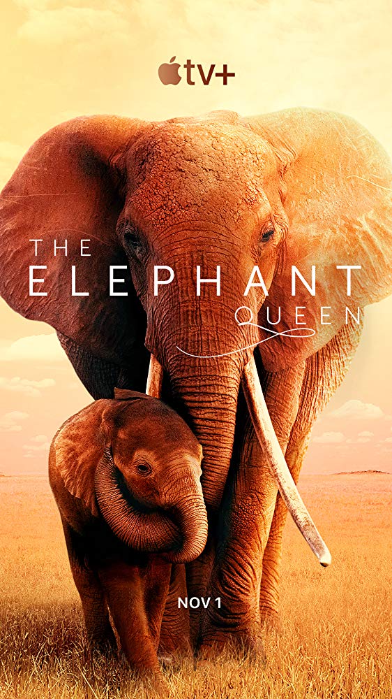 The Elephant Queen 2019 720P Webrip 800Mb X264-Galaxyrg