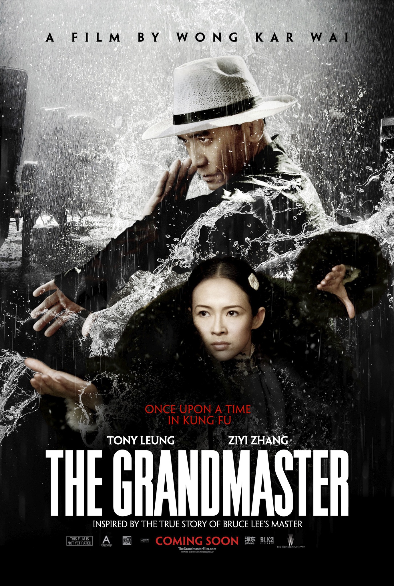 The Grandmaster (2013) 720P Bluray X264 Esub [Dual Audio][Hindi 2 0 English 2 0] -Dmv