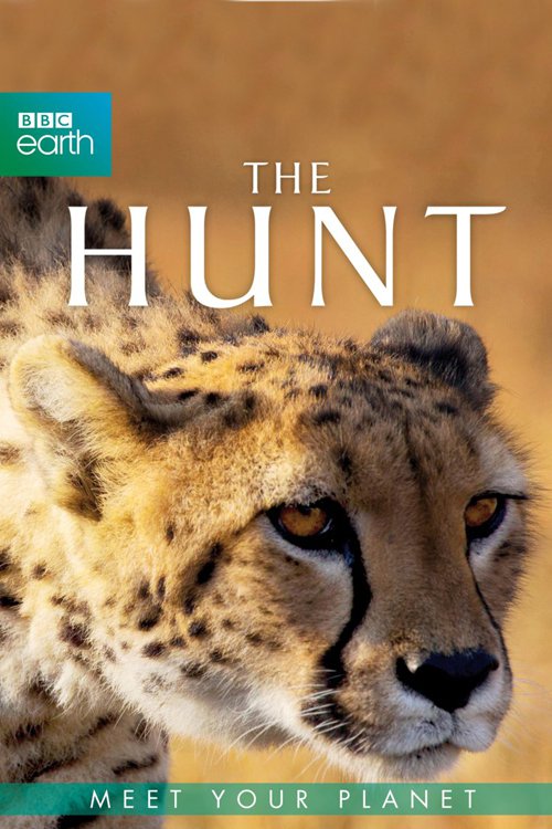 The Hunt E01 The Hardest Challenge 720P Bluray X264 450Mb-Pahe In