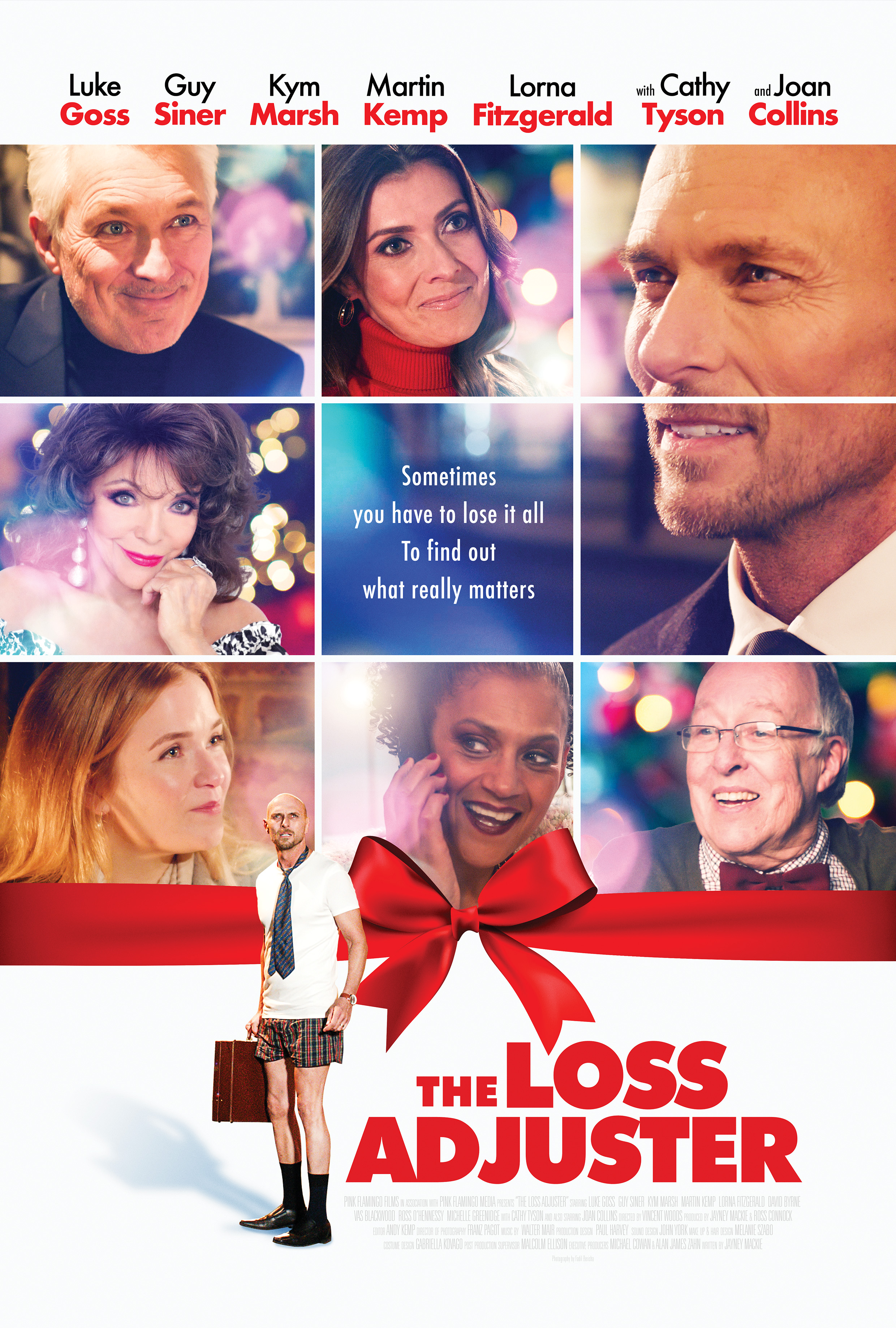 The Loss Adjuster 2020 720P Webrip 800Mb X264-Galaxyrg