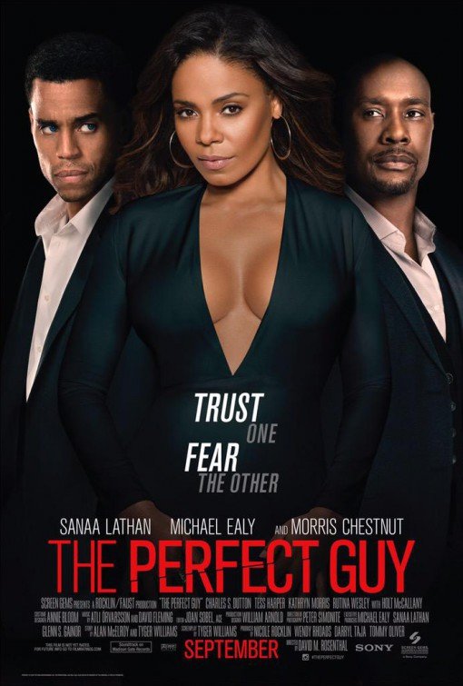 The Perfect Guy (2015) 720P Bluray X264 Esub [Dual Audio][Hindi 5 1 English 5 1] -Mkvc