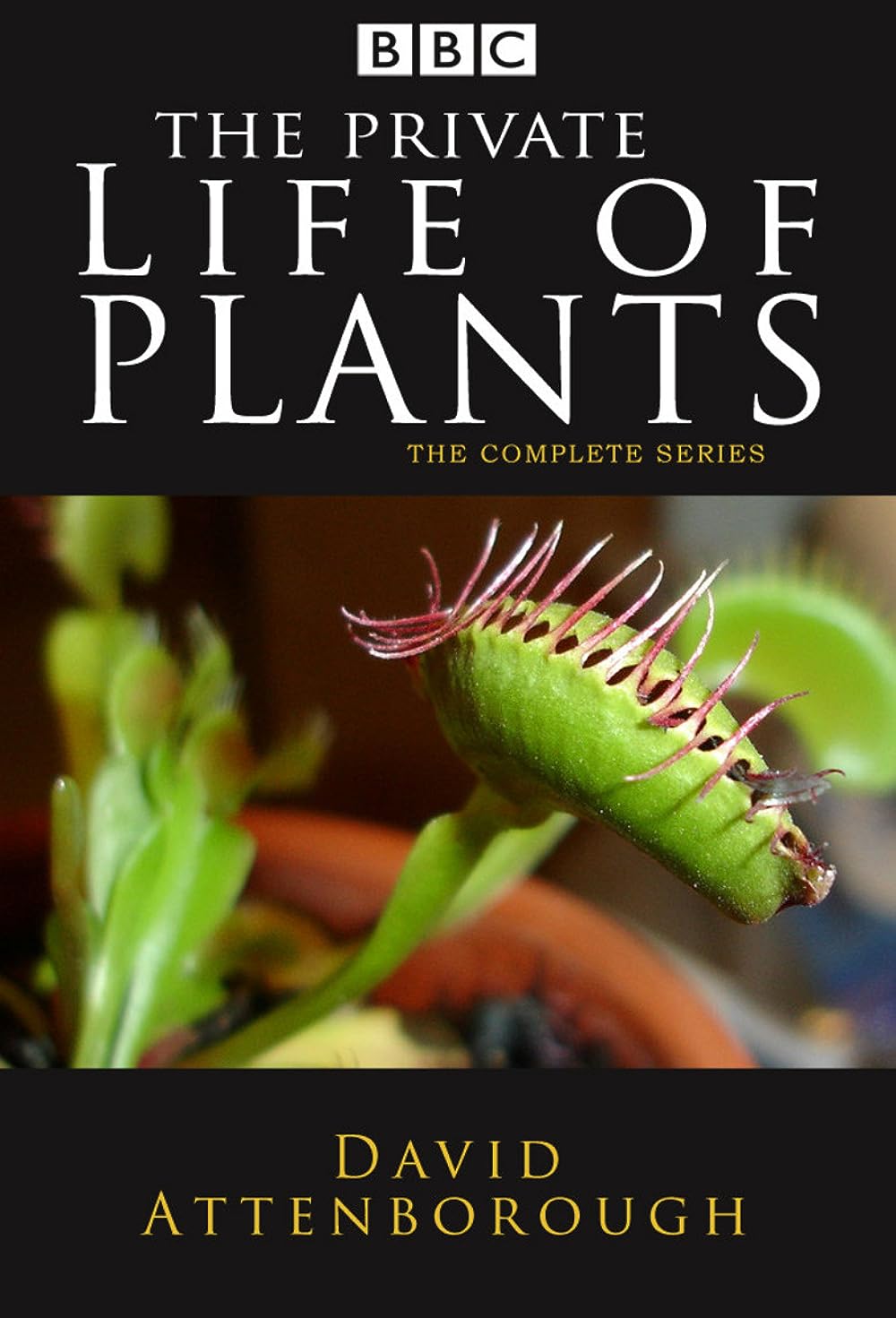 The Private Life Of Plants S01E01 Travelling 576P Dvdrip X265 Hevc 10Bit Ac3 2 0 Esub-Afm72