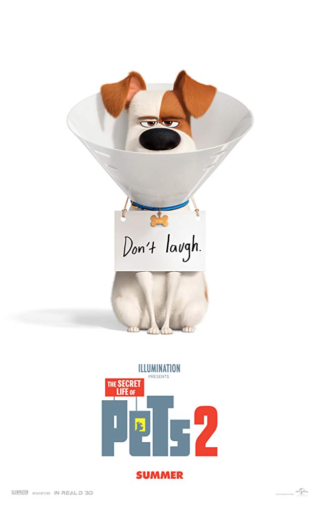 The Secret Life Of Pets 2 (2019) 720P Bluray X264 Esub [Dual Audio][Hindi 5 1 English 5 1] -Mkvc