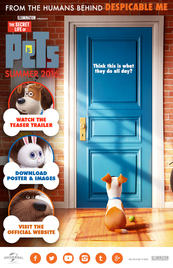 The Secret Life Of Pets 2016 1080P Brrip 6Ch 1 5Gb Mkvcage