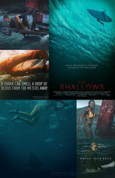 The Shallows 2016 1080P Bluray 6Ch Shaanig