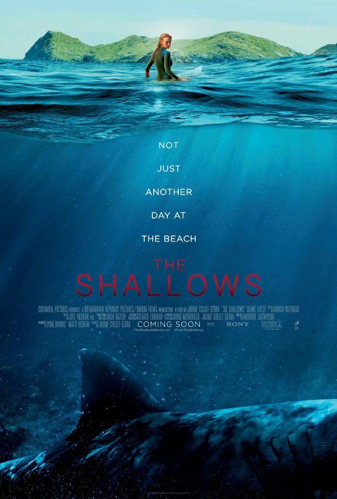 The Shallows 2016 720P Bluray 800Mb Shaanig