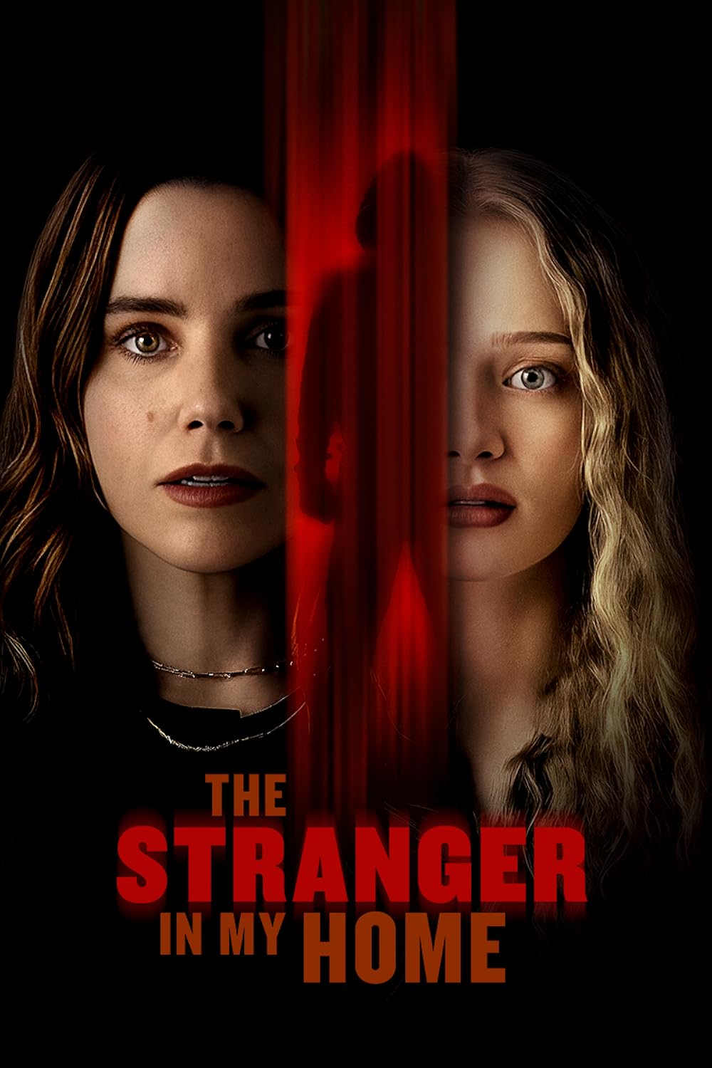 The Stranger In My Home (2025) 720P Amzn-Web X264 Esub [Dual Audio][Hindi 5 1 English 5 1] -Mkvc