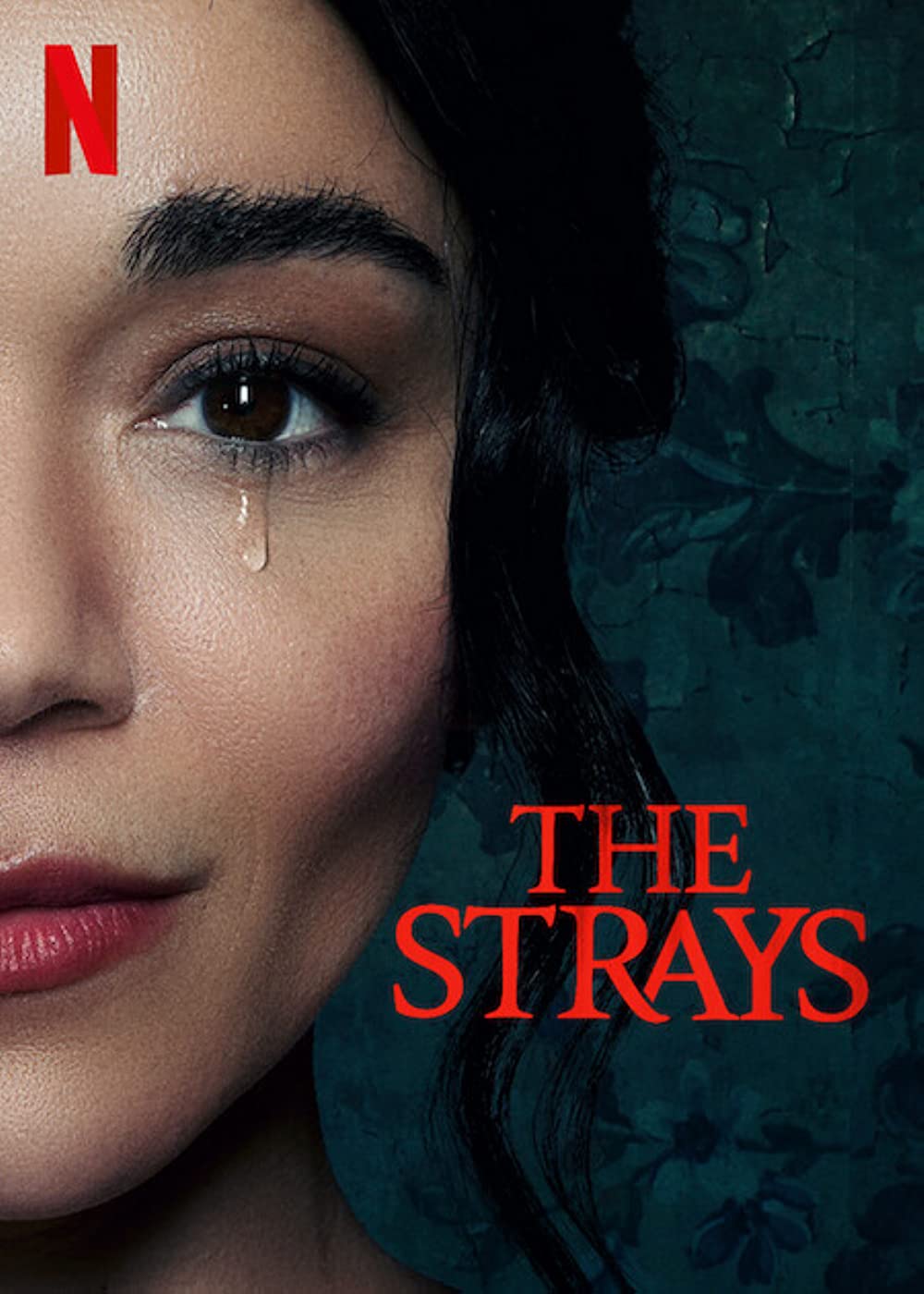 The Strays (2023) 720P Nf-Web X264 Msubs [Dual Audio][Hindi 5 1 English 5 1] -Mkvc