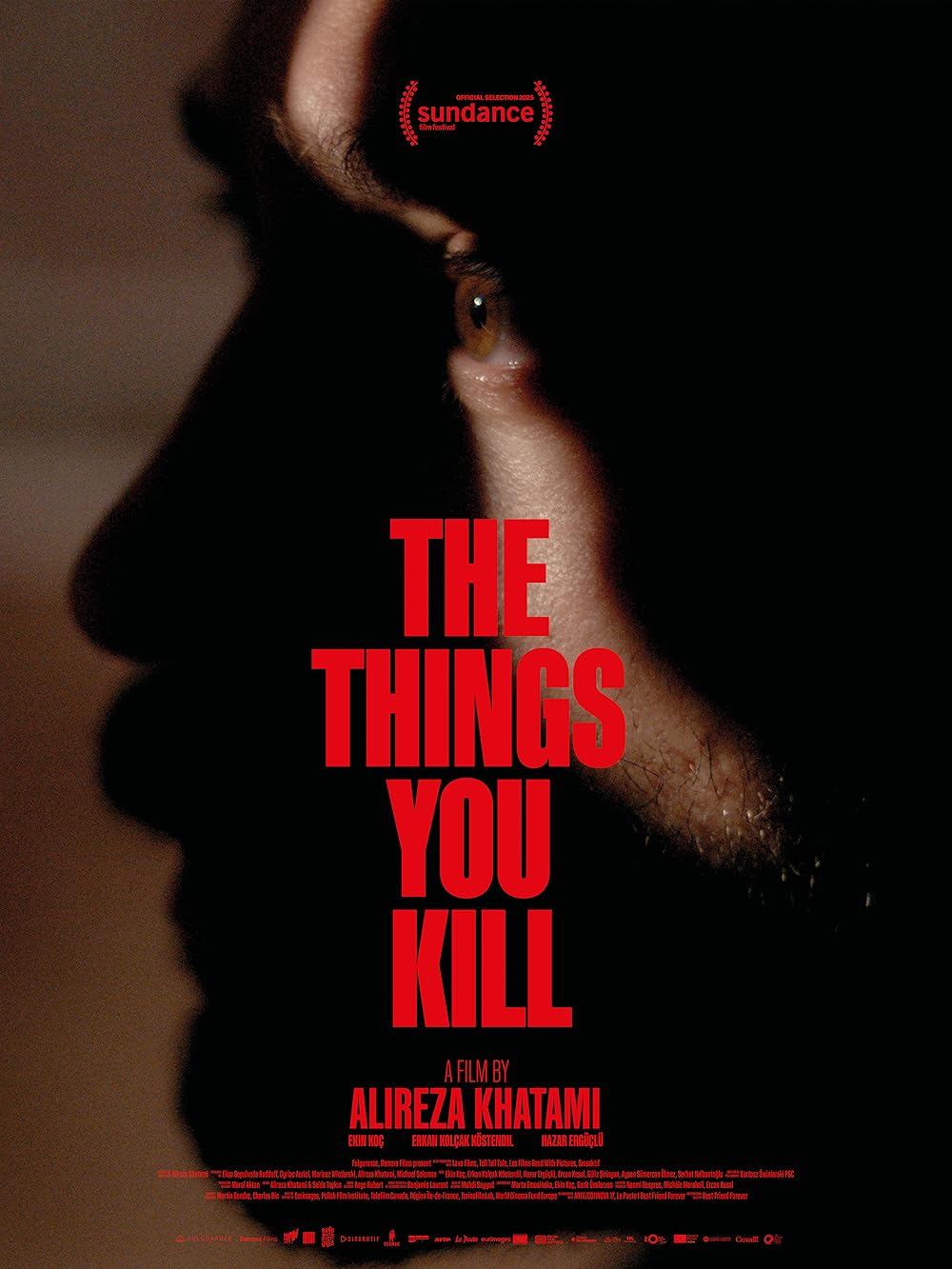 The Things You Kill (2025) 720P Amzn-Web X264 Esub [Dual Audio][Hindi 2 0 Turkish 5 1] -Msmod