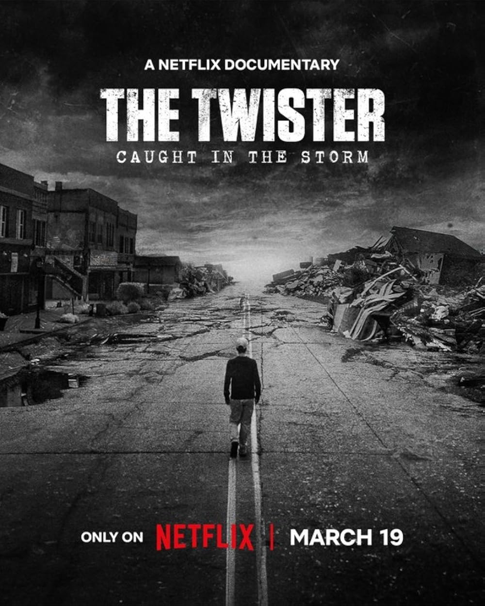 The Twister Caught In The Storm (2025) 720P Nf-Web X264 Msubs [Dual Audio][Hindi 5 1 English 5 1] -Mkvc