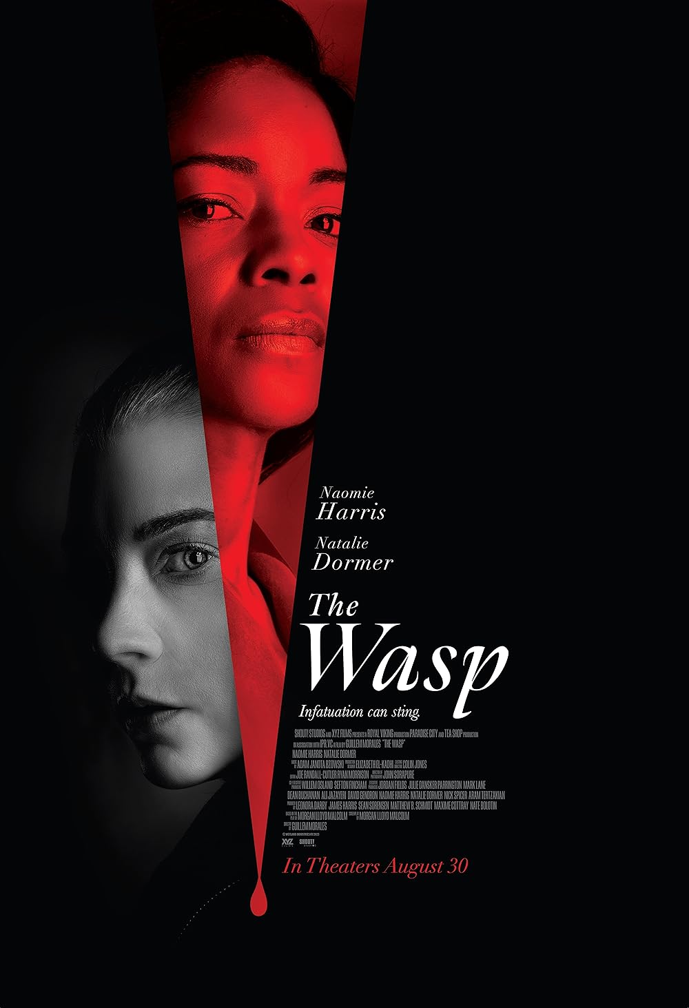 The Wasp 2024 720P Amzn Webrip 800Mb X264-Galaxyrg