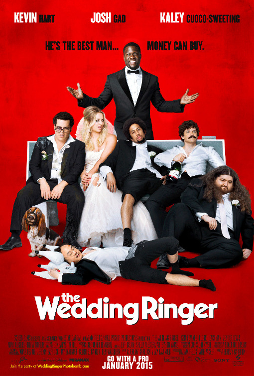 The Wedding Ringer (2015) 720P Bluray X264 Esub [Dual Audio][Hindi 5 1 English 5 1] -Mkvc