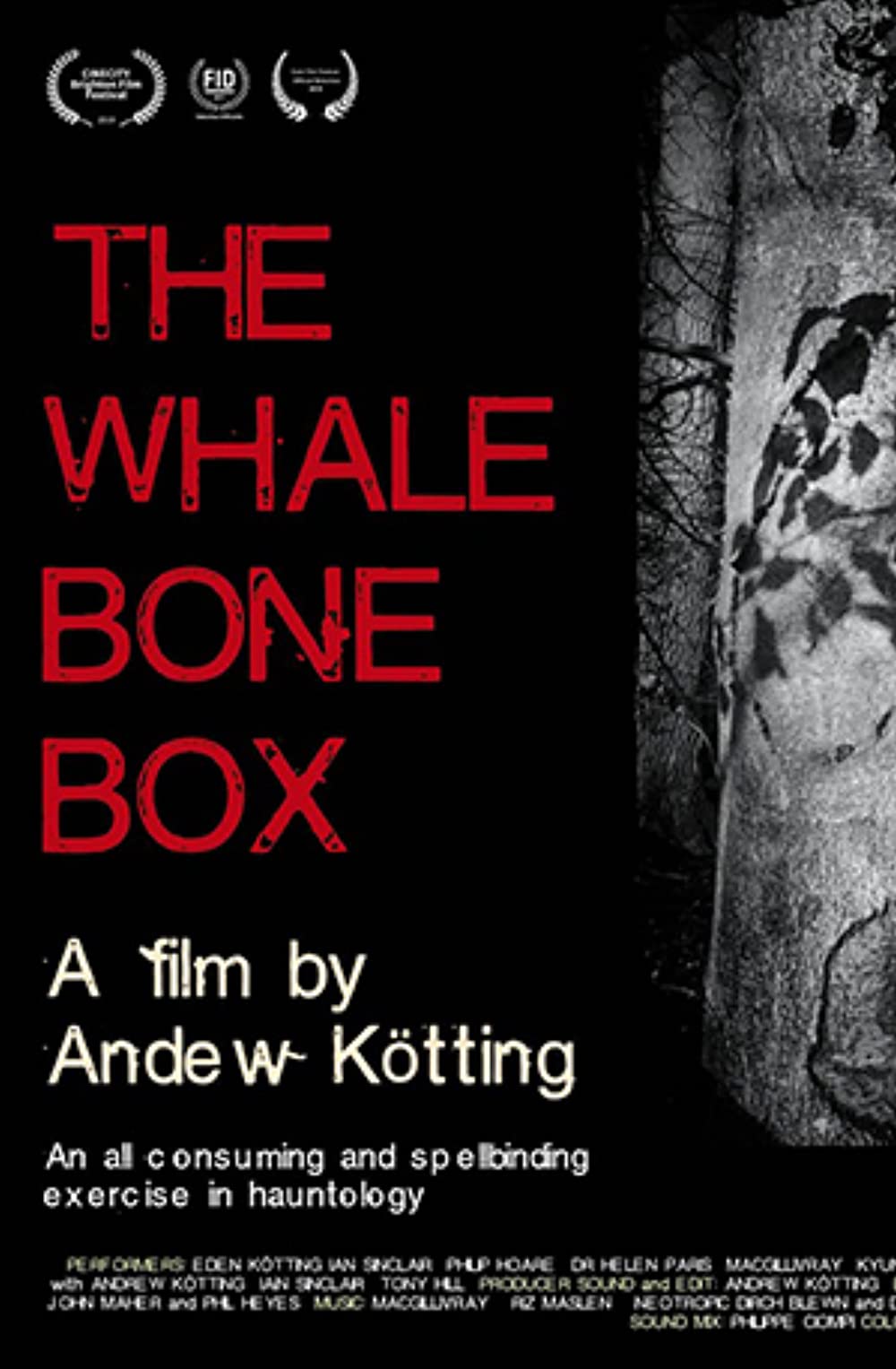 The Whalebone Box 2019 720P Bluray 800Mb X264-Galaxyrg