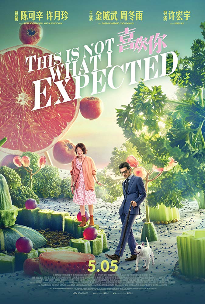 This Is Not What I Expected 2017 Chinese 720P Nf Web-Dl X264 Esub-Worldmkv