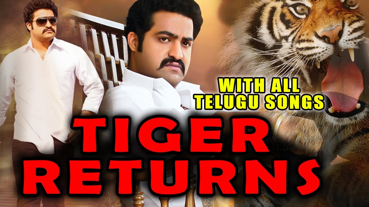 Tiger Returns 2015 720P Hindi Dubbed Movie With Telugu Songs - Jr Ntr, Trisha Krishnan