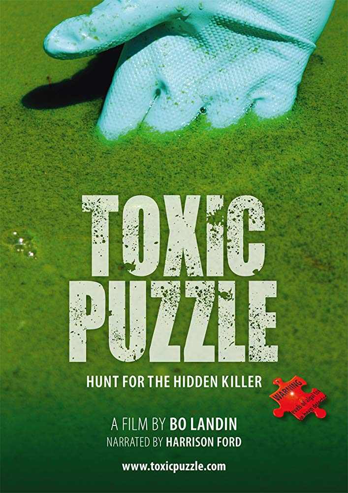 Toxic Puzzle 2017 720P Webrip 800Mb X264-Galaxyrg