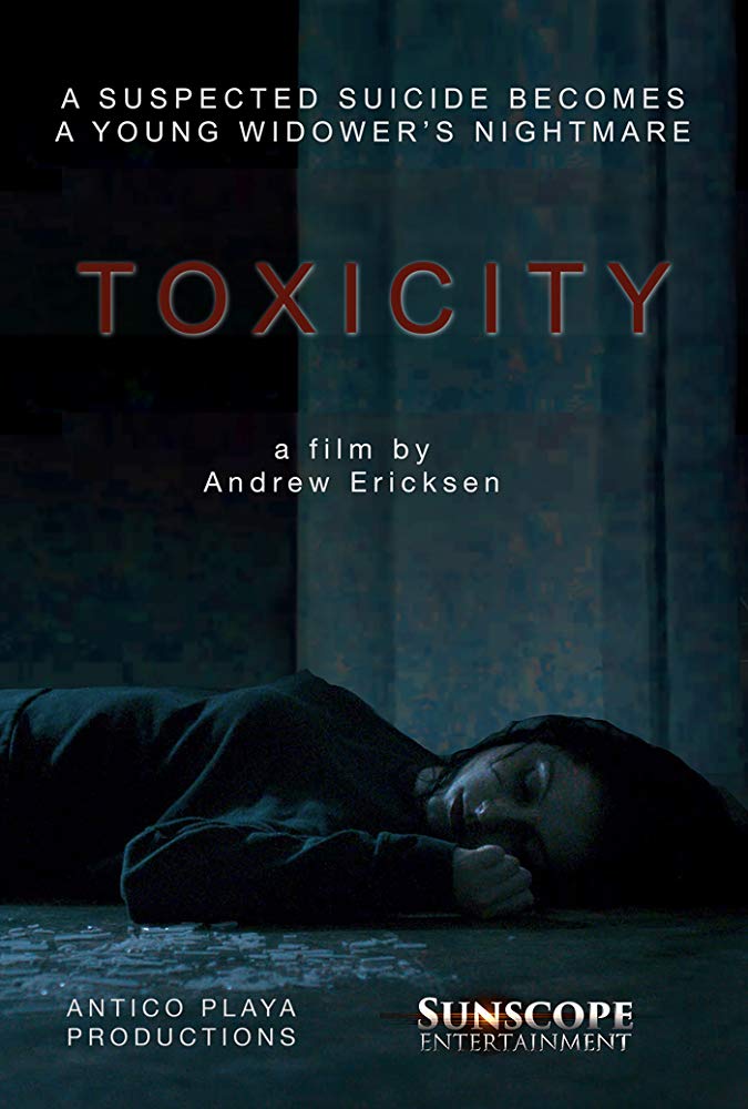 Toxicity 2019 720P Amzn Webrip 800Mb X264-Galaxyrg