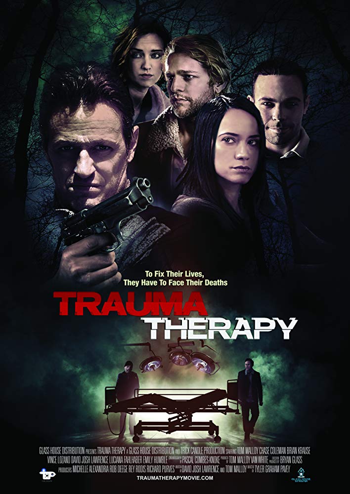 Trauma Therapy 2019 720P Webrip 800Mb X264-Galaxyrg