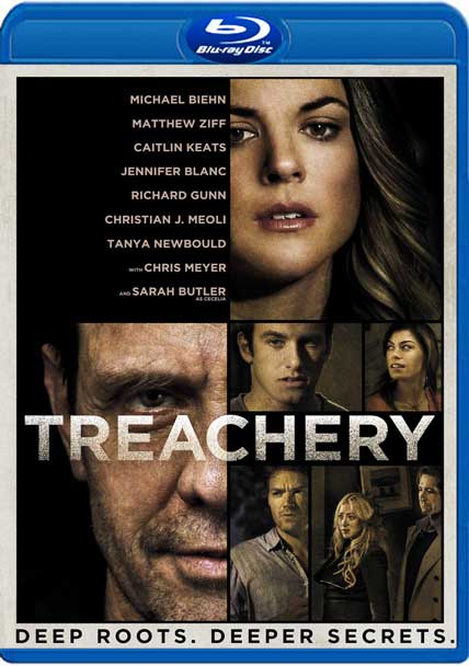 Treachery 2013 720P Bluray X264 Yify