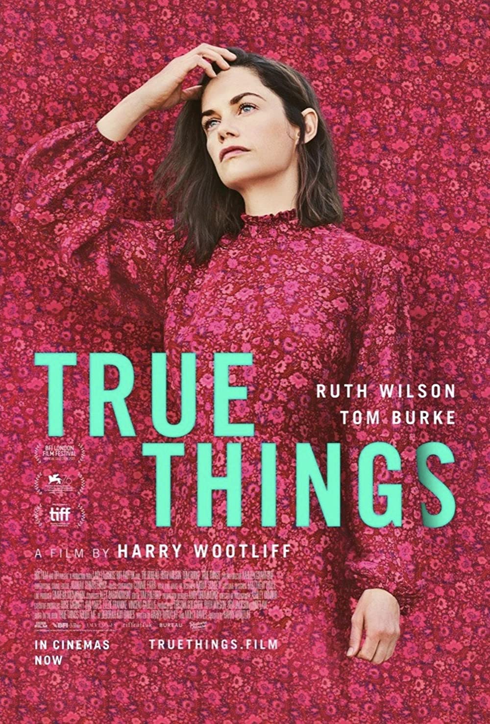 True Things 2021 720P Bluray 800Mb X264-Galaxyrg