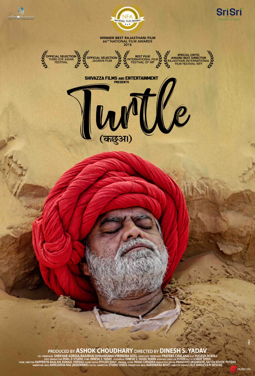 Turtle (2018) Hindi 720P Amzn Webrip X264 Aac 2 0 Esub - Mkvcinemas