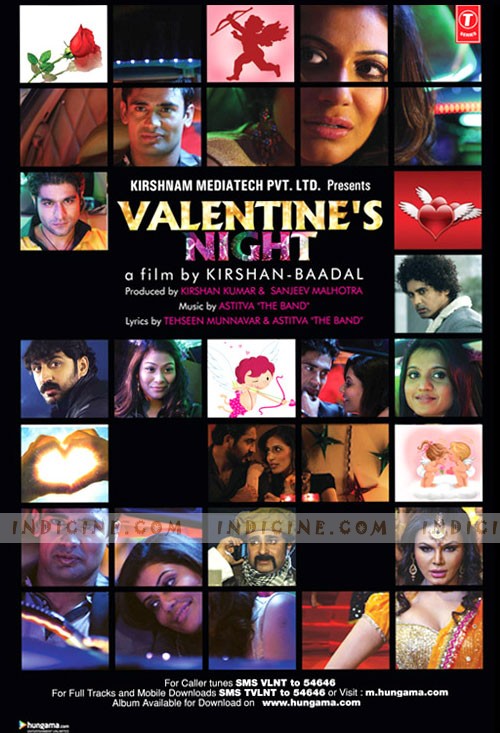 Valentine's Night (2012)